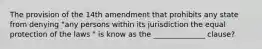 The provision of the 14th amendment that prohibits any state from denying "any persons within its jurisdiction the equal protection of the laws " is know as the ______________ clause?