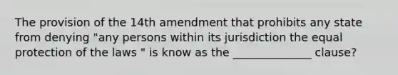 The provision of the 14th amendment that prohibits any state from denying "any persons within its jurisdiction the equal protection of the laws " is know as the ______________ clause?