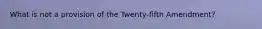 What is not a provision of the Twenty-fifth Amendment?