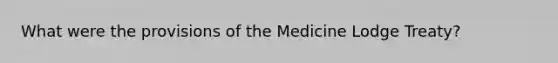 What were the provisions of the Medicine Lodge Treaty?