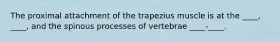 The proximal attachment of the trapezius muscle is at the ____, ____, and the spinous processes of vertebrae ____-____.