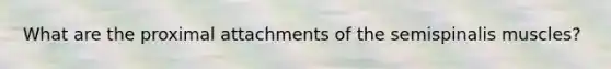What are the proximal attachments of the semispinalis muscles?