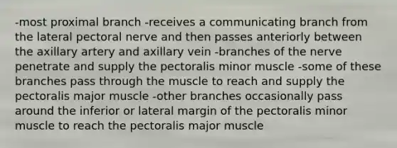 -most proximal branch -receives a communicating branch from the lateral pectoral nerve and then passes anteriorly between the axillary artery and axillary vein -branches of the nerve penetrate and supply the pectoralis minor muscle -some of these branches pass through the muscle to reach and supply the pectoralis major muscle -other branches occasionally pass around the inferior or lateral margin of the pectoralis minor muscle to reach the pectoralis major muscle