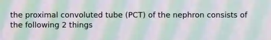 the proximal convoluted tube (PCT) of the nephron consists of the following 2 things