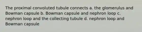 The proximal convoluted tubule connects a. the glomerulus and Bowman capsule b. Bowman capsule and nephron loop c. nephron loop and the collecting tubule d. nephron loop and Bowman capsule