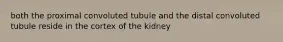 both the proximal convoluted tubule and the distal convoluted tubule reside in the cortex of the kidney