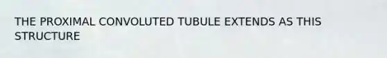 THE PROXIMAL CONVOLUTED TUBULE EXTENDS AS THIS STRUCTURE