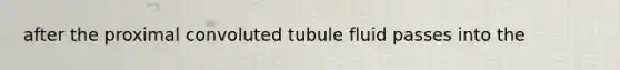 after the proximal convoluted tubule fluid passes into the