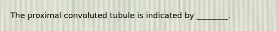 The proximal convoluted tubule is indicated by ________.