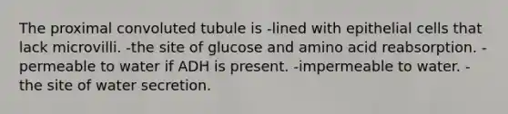 The proximal convoluted tubule is -lined with epithelial cells that lack microvilli. -the site of glucose and amino acid reabsorption. -permeable to water if ADH is present. -impermeable to water. -the site of water secretion.