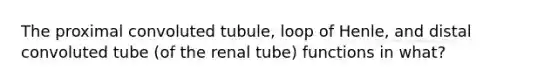 The proximal convoluted tubule, loop of Henle, and distal convoluted tube (of the renal tube) functions in what?