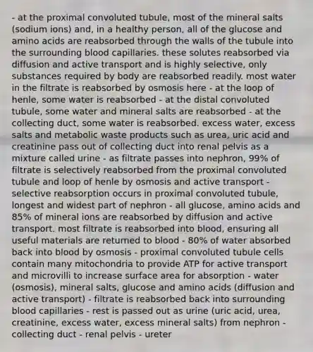 - at the proximal convoluted tubule, most of the mineral salts (sodium ions) and, in a healthy person, all of the glucose and amino acids are reabsorbed through the walls of the tubule into the surrounding blood capillaries. these solutes reabsorbed via diffusion and active transport and is highly selective, only substances required by body are reabsorbed readily. most water in the filtrate is reabsorbed by osmosis here - at the loop of henle, some water is reabsorbed - at the distal convoluted tubule, some water and mineral salts are reabsorbed - at the collecting duct, some water is reabsorbed. excess water, excess salts and metabolic waste products such as urea, uric acid and creatinine pass out of collecting duct into renal pelvis as a mixture called urine - as filtrate passes into nephron, 99% of filtrate is selectively reabsorbed from the proximal convoluted tubule and loop of henle by osmosis and active transport - selective reabsorption occurs in proximal convoluted tubule, longest and widest part of nephron - all glucose, amino acids and 85% of mineral ions are reabsorbed by diffusion and active transport. most filtrate is reabsorbed into blood, ensuring all useful materials are returned to blood - 80% of water absorbed back into blood by osmosis - proximal convoluted tubule cells contain many mitochondria to provide ATP for active transport and microvilli to increase surface area for absorption - water (osmosis), mineral salts, glucose and amino acids (diffusion and active transport) - filtrate is reabsorbed back into surrounding blood capillaries - rest is passed out as urine (uric acid, urea, creatinine, excess water, excess mineral salts) from nephron - collecting duct - renal pelvis - ureter