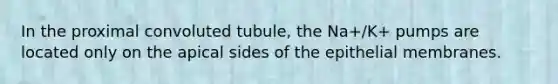 In the proximal convoluted tubule, the Na+/K+ pumps are located only on the apical sides of the epithelial membranes.