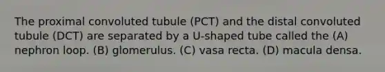 The proximal convoluted tubule (PCT) and the distal convoluted tubule (DCT) are separated by a U-shaped tube called the (A) nephron loop. (B) glomerulus. (C) vasa recta. (D) macula densa.