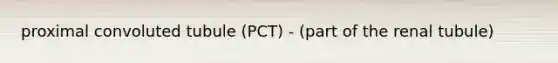 proximal convoluted tubule (PCT) - (part of the renal tubule)