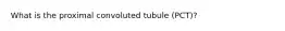 What is the proximal convoluted tubule (PCT)?