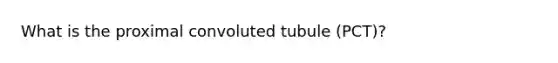 What is the proximal convoluted tubule (PCT)?