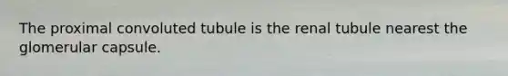The proximal convoluted tubule is the renal tubule nearest the glomerular capsule.