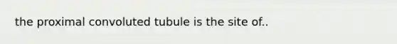 the proximal convoluted tubule is the site of..