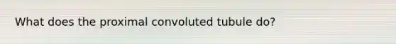 What does the proximal convoluted tubule do?