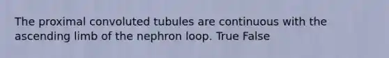 The proximal convoluted tubules are continuous with the ascending limb of the nephron loop. True False