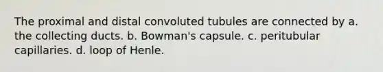 The proximal and distal convoluted tubules are connected by a. the collecting ducts. b. Bowman's capsule. c. peritubular capillaries. d. loop of Henle.