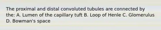 The proximal and distal convoluted tubules are connected by the: A. Lumen of the capillary tuft B. Loop of Henle C. Glomerulus D. Bowman's space