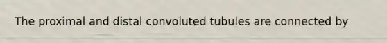 The proximal and distal convoluted tubules are connected by