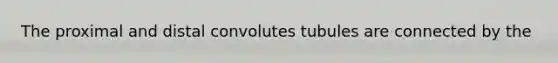 The proximal and distal convolutes tubules are connected by the