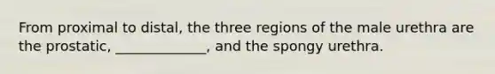 From proximal to distal, the three regions of the male urethra are the prostatic, _____________, and the spongy urethra.