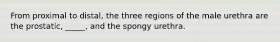 From proximal to distal, the three regions of the male urethra are the prostatic, _____, and the spongy urethra.