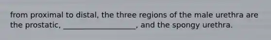 from proximal to distal, the three regions of the male urethra are the prostatic, ___________________, and the spongy urethra.