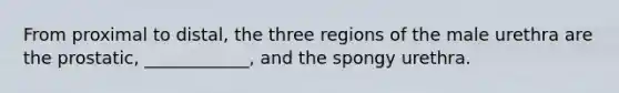 From proximal to distal, the three regions of the male urethra are the prostatic, ____________, and the spongy urethra.