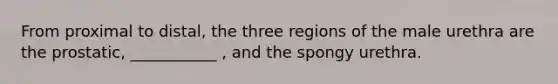 From proximal to distal, the three regions of the male urethra are the prostatic, ___________ , and the spongy urethra.