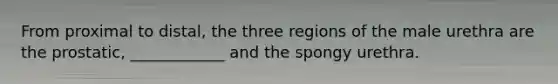 From proximal to distal, the three regions of the male urethra are the prostatic, ____________ and the spongy urethra.