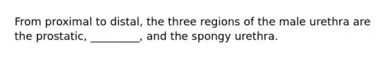 From proximal to distal, the three regions of the male urethra are the prostatic, _________, and the spongy urethra.