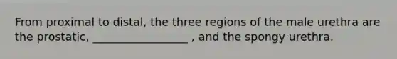 From proximal to distal, the three regions of the male urethra are the prostatic, _________________ , and the spongy urethra.