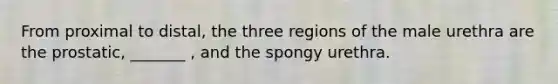 From proximal to distal, the three regions of the male urethra are the prostatic, _______ , and the spongy urethra.