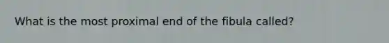 What is the most proximal end of the fibula called?