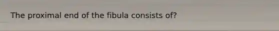 The proximal end of the fibula consists of?