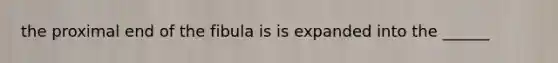 the proximal end of the fibula is is expanded into the ______