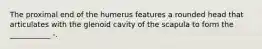 The proximal end of the humerus features a rounded head that articulates with the glenoid cavity of the scapula to form the ___________ -.