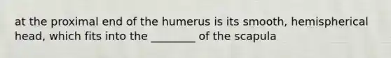 at the proximal end of the humerus is its smooth, hemispherical head, which fits into the ________ of the scapula