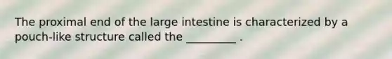 The proximal end of the large intestine is characterized by a pouch-like structure called the _________ .