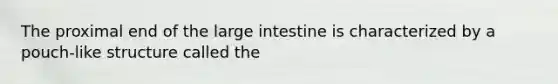 The proximal end of the large intestine is characterized by a pouch-like structure called the