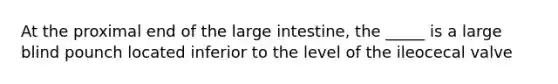 At the proximal end of the large intestine, the _____ is a large blind pounch located inferior to the level of the ileocecal valve