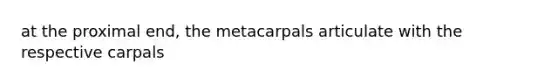 at the proximal end, the metacarpals articulate with the respective carpals