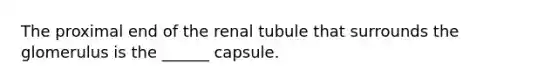 The proximal end of the renal tubule that surrounds the glomerulus is the ______ capsule.