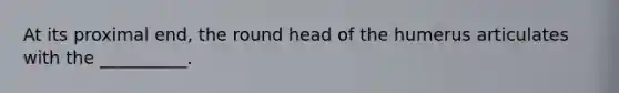 At its proximal end, the round head of the humerus articulates with the __________.