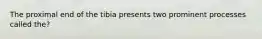 The proximal end of the tibia presents two prominent processes called the?